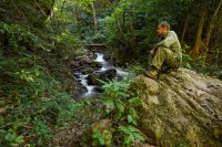 Jungle hiking