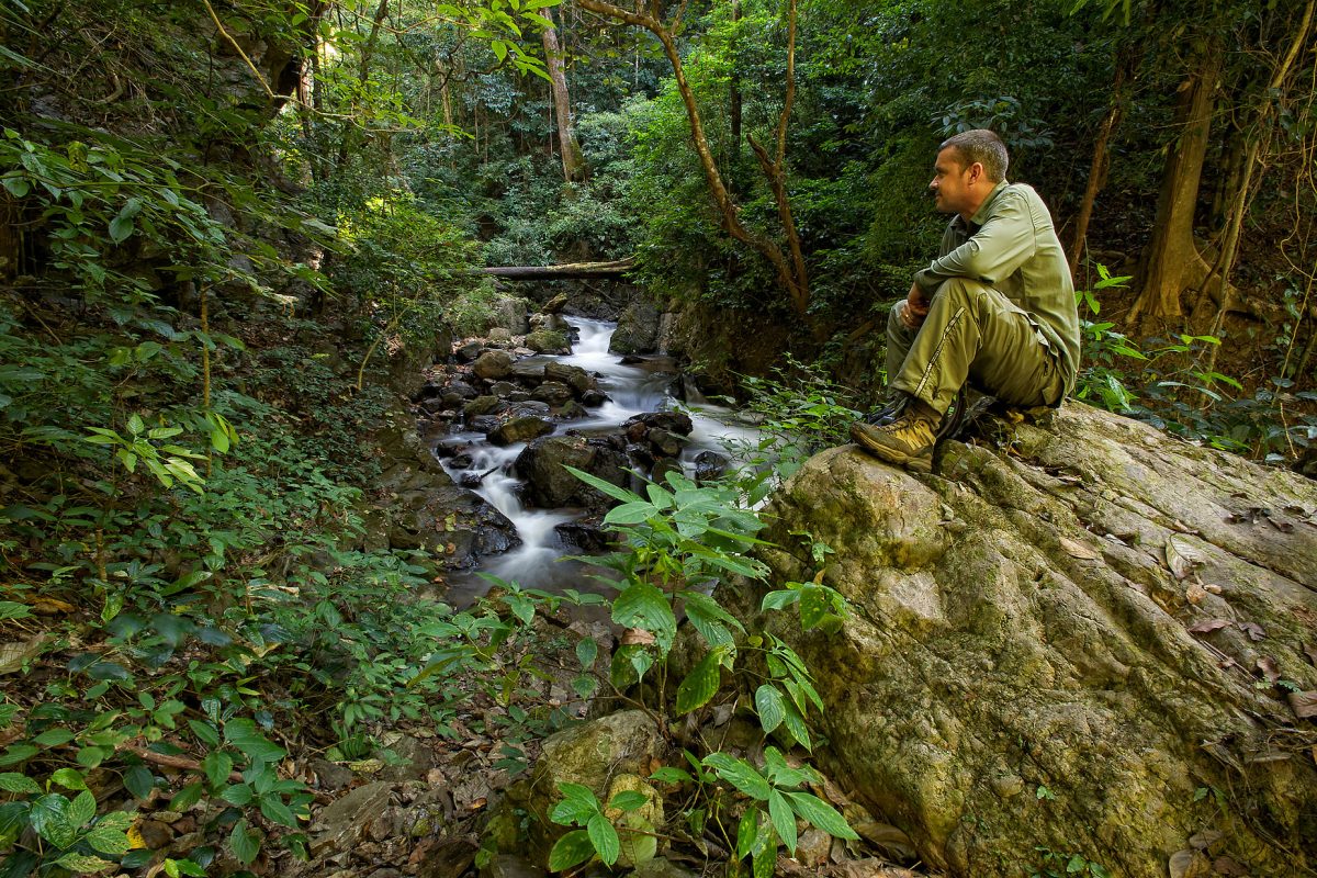 Jungle hiking